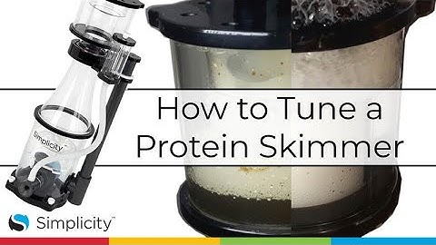 How to Tune a Protein Skimmer - Simplicity Aquatics