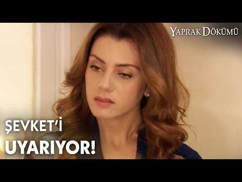 Leyla abisinin hata yapmasını istemiyor! - Yaprak Dökümü Özel Klip