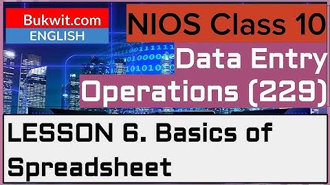 NIOS Class 10 Data Entry Operations (229): Lesson 6. Basics of Spreadsheet