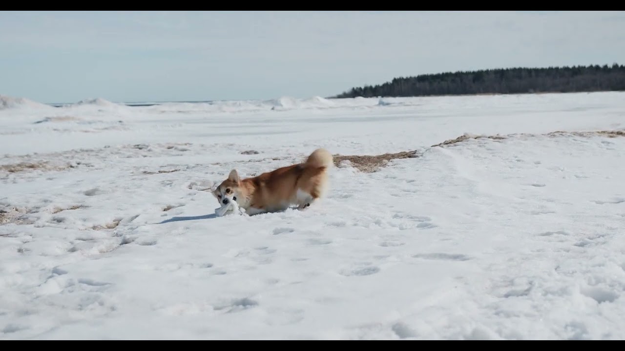 THE COOLIEST MUSIC VIDEO SELLECTION FOR YOUR RELAXATION