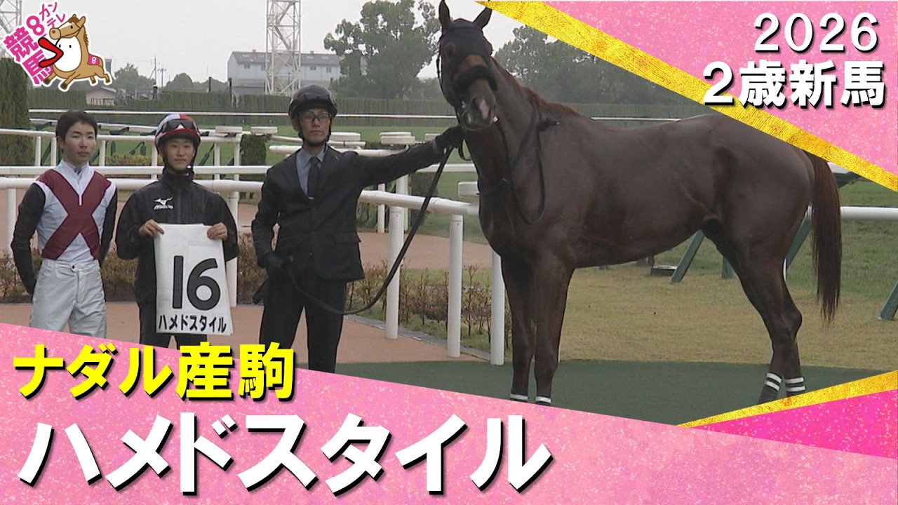 関連動画3