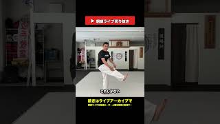 足の付け根は"みぞおち"!足が長くなって高く上がる【朝練LIVE切り抜き】 #shorts #空手 #極真 #武道 #karate #kyokushin