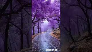 Every drop holds a quiet dream. #meditationmusic #relaxationmusic #relaxingmusic #deepsleep