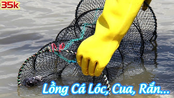 35k Lồng Bát Quái Lò Xo Bắt Cá Tôm Cua Ếch Rùa Baba - Lờ Bát Quái Bẫy Cá Lóc Cá Rô Sộp 0989.324.396