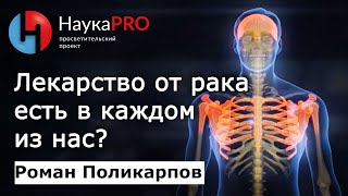 Феномен «генетических близнецов» и донорство костного мозга – Роман Поликарпов | Научпоп