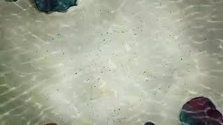 Download Mp3 Watch SpongeBob SquarePants Season 1 Valentine's Day. The Paper Gudang lagu Download Mp3 Watch SpongeBob SquarePants Season 1 Valentine's Day. The Paper