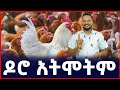 ዶሮ አትሞትም የዶሮ እርባታ ሚስጥር ከዜሮ ወደ ቢሊዮን Poultry Business Sile Business 