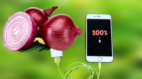 Mobile Charger making by onion | পেঁয়াজ দিয়ে মোবাইল চার্জ#techraidul