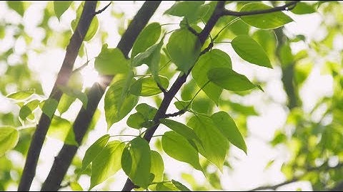 Bio4Products - Unlocking the potential of the bioeconomy!