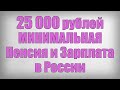 25 000 рублей МИНИМАЛЬНАЯ Пенсия и Зарплата в России