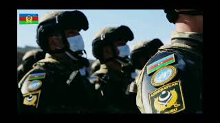 Azərbaycan Xüsusi Təyyinatlı Qüvvələri