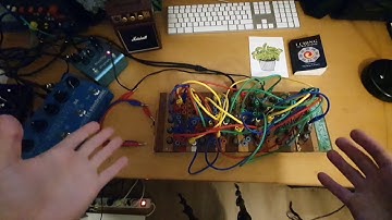 Plumbutter: The Final Patch!