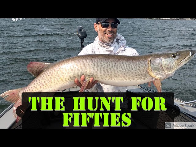 EAGLE LAKE AND THE HUNT FOR 50"S
