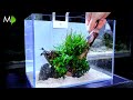 Aquascape Tutorial: ‘Clarity’ (How To: Full Step By Step Guide, Planted Nano Aquarium)
