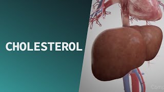 Cholesterol