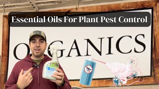 Essential Oils For Plant Pest Control