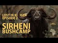 Leopard, Elephant, Buffalo and more Leopard at Sirheni & Shingwedzi - Lost in Kruger Episode 2