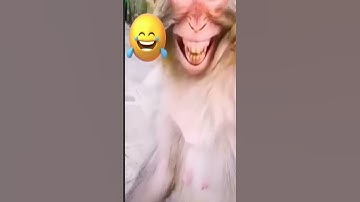 Why Was the Computer Cold? 🖥️😂 #Shorts