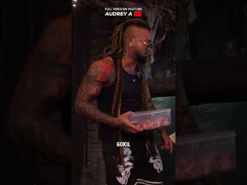 SAATNYA IKAN MONSTER GUE MAKAN. #AudreyA #KINGOFTHEJUNGLE