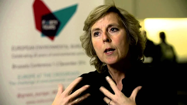 Connie Hedegaard, former EU Commissioner for Climate Action, #EUcrossroads