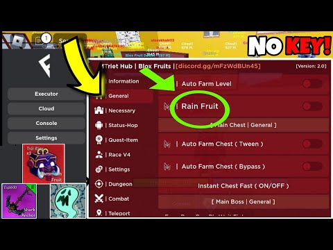 Script Blox Fruit No Key Fruit Rain & Auto Farm🔥 MOBILE/PC, AUTO RAID