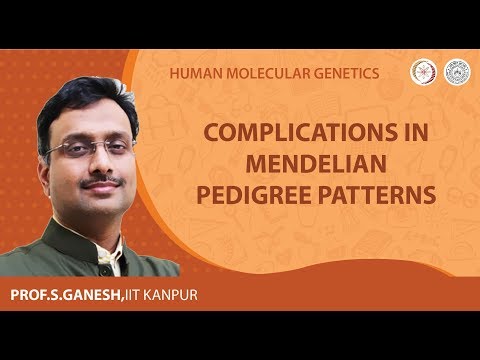 Complications in Mendelian Pedigree Patterns