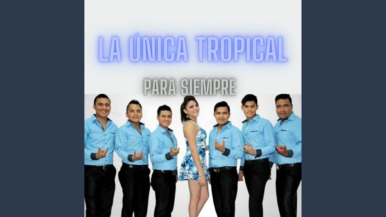 Tu Poeta Letra La Unica Tropical