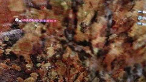 RE:COD4 (SHORT) LAST THOUGHT