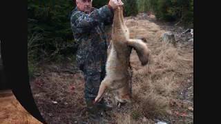 ON THE TRAPLINE 2016 17  #18