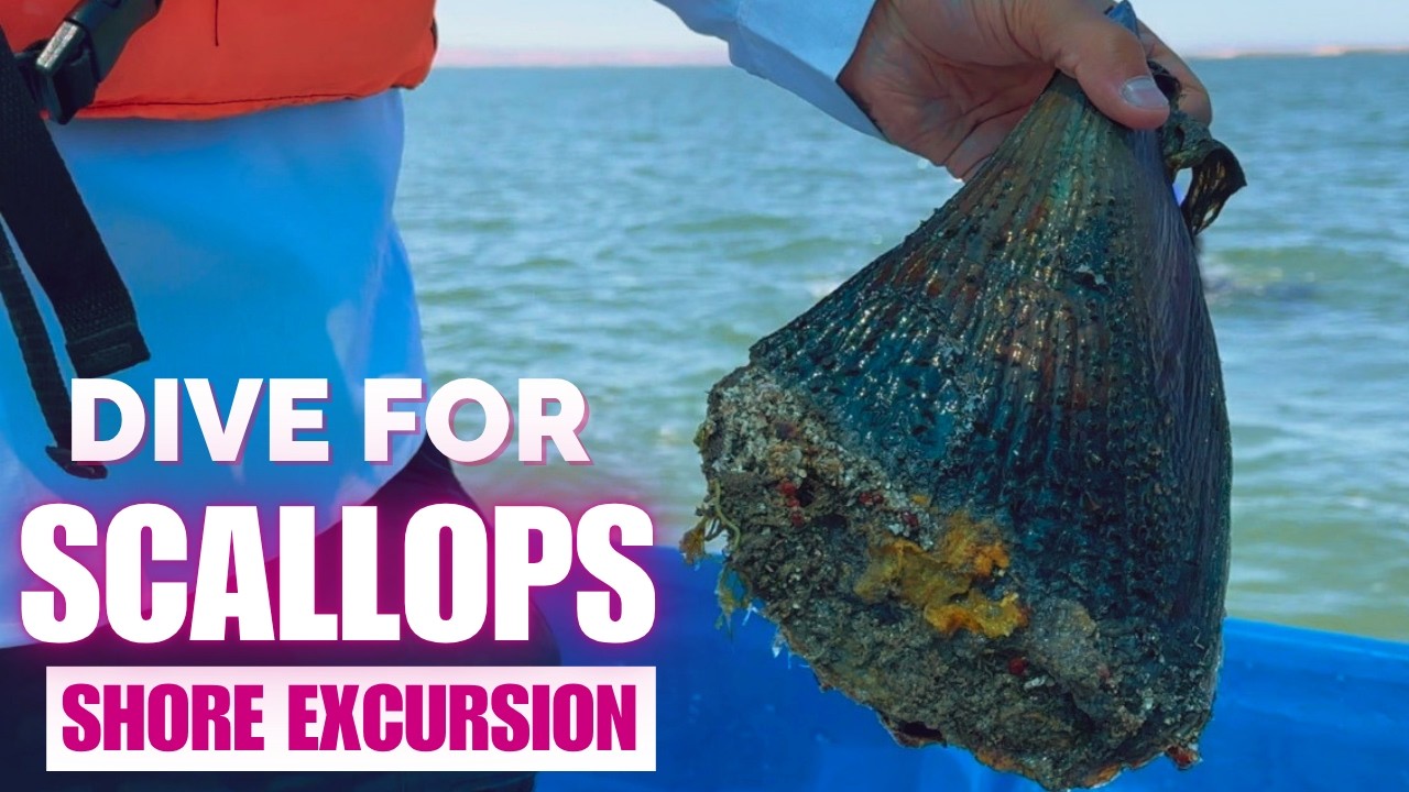 Scallop Diving in La Paz — A Unique Mexican Riviera Shore Excursion
