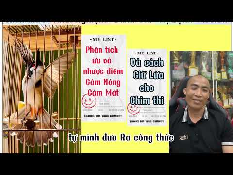 Video: Dân dụng vũ khí nòng ngắn ở Nga. Phần 1