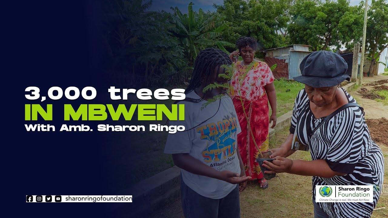 Sharon Ringo 3000 TREES IN MBWENI | AMB. SHARON RINGO - YouTube