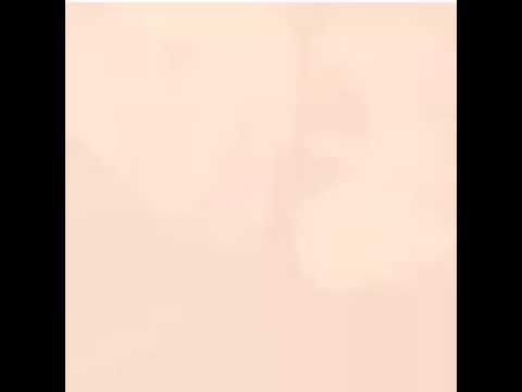 و بروح على صورتك اخدها و حطها بصطل الزبالة