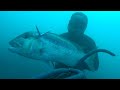 Pesca submarina con Jose bagan (the dentex sniper)