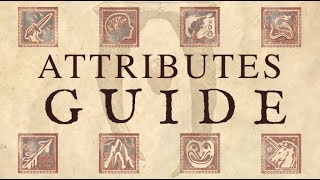 Oblivion :: Attributes Guide (Elder Scrolls 4)