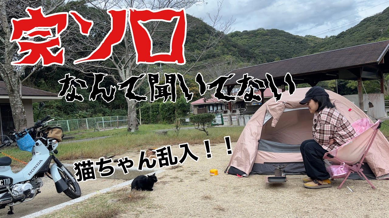 【クロスカブとキャンプツーリング】完ソロなんて聞いてないwithねこちゃん🐈‍⬛