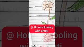 Science Practice Sheets for Grade-1||Internal body parts, Food, Plant and Animals activities|#grade1