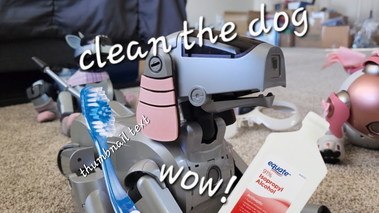 Cleaning Aibo