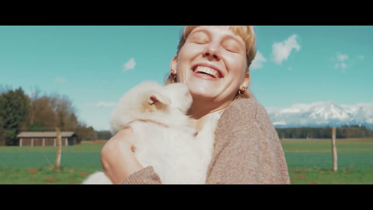 WILD LIFE VISUALIZER