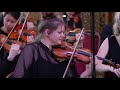 Brahms symphony no 3 by the fidelio orchestra and raffaello morales