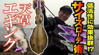 【天草エギング】低活性にはサイズローテーションが効く！ハグハグ3号&2.5号で楽しむショアエギング！【ハグハグ】