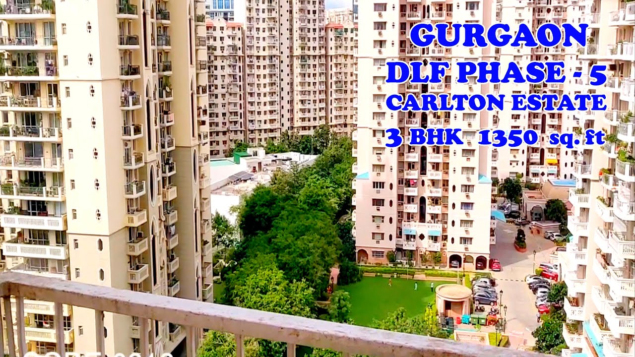 CODE0312 DLF CARLTON ESTATE 3 BHK 1350 sq.ft Gurgaon Dlf Phase 5 YouTube