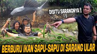 AKSI TRIO ANOMALI BASMI IKAN SAPU-SAPU DI SUNGAI ULAR !!