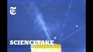 The Hidden Power of Squirting Fruit | ScienceTake The Hidden Power of Squirting Fruit | ScienceTake