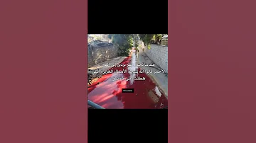 سجن صيدنايا Music топ Song Fypシ Love اكسبلور Beats سوريا 