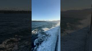 Download Lagu BC Ferries 🌊 #tsawwassen #nanaimo #vancouver #shorts MP3