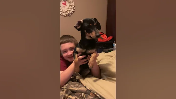 When I first got my dog