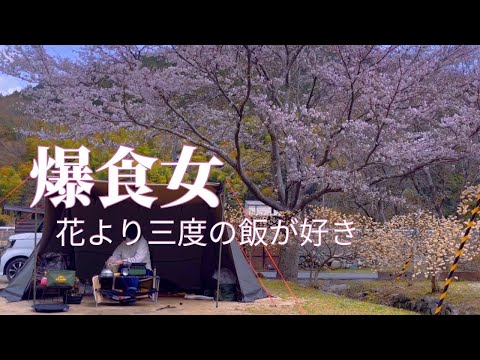 【女子ソロキャンプ】桜の木の下で一席しかない小さなビストロ開店してみました。
