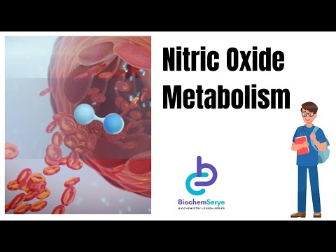 Metabolism of Nitric Oxide Lecture Video