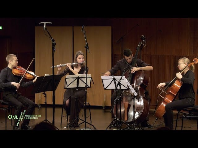 Play VANHAL, J.B.: Double Bass Concerto in D Major / HAYDN, F.J.:  Divertimento in E-Flat Major / SPERGER, J.M.: Quartet in D Major (Straka)  by Zeljko Straka & Camerata Musica on